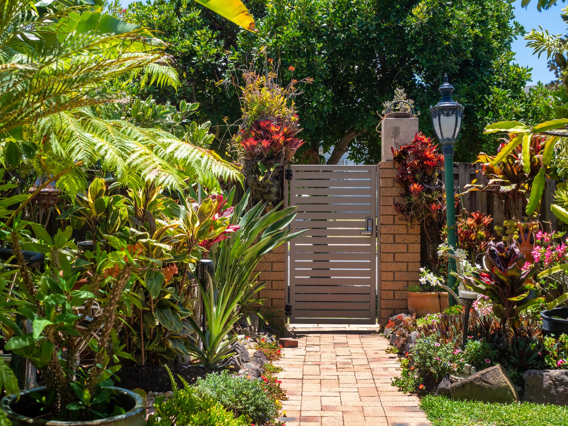 8 / 29-31 Tarcoola Avenue, Mooloolaba