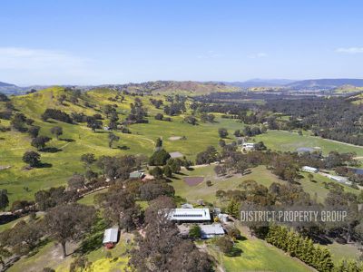 Bonnie Doon