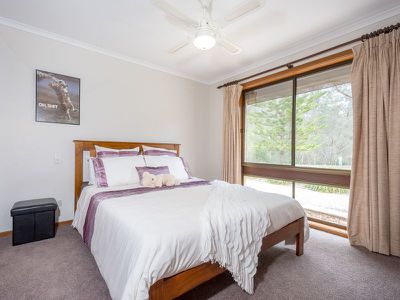 17 Campbells Bend Rd, Murchison