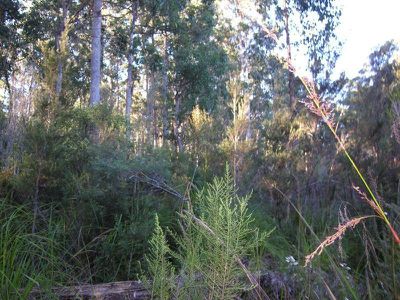Lot 2, 7743 Huon Highway, Strathblane