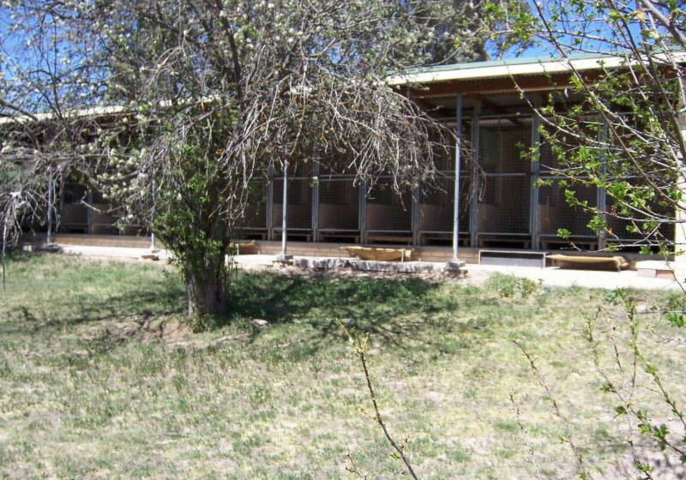 2077 Ophir Road, Bathurst