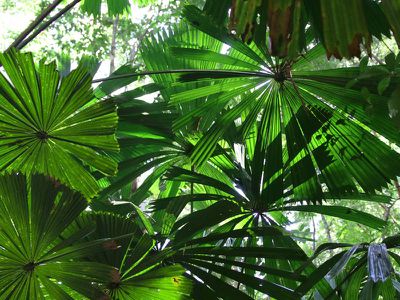 7 High Street, Nimbin