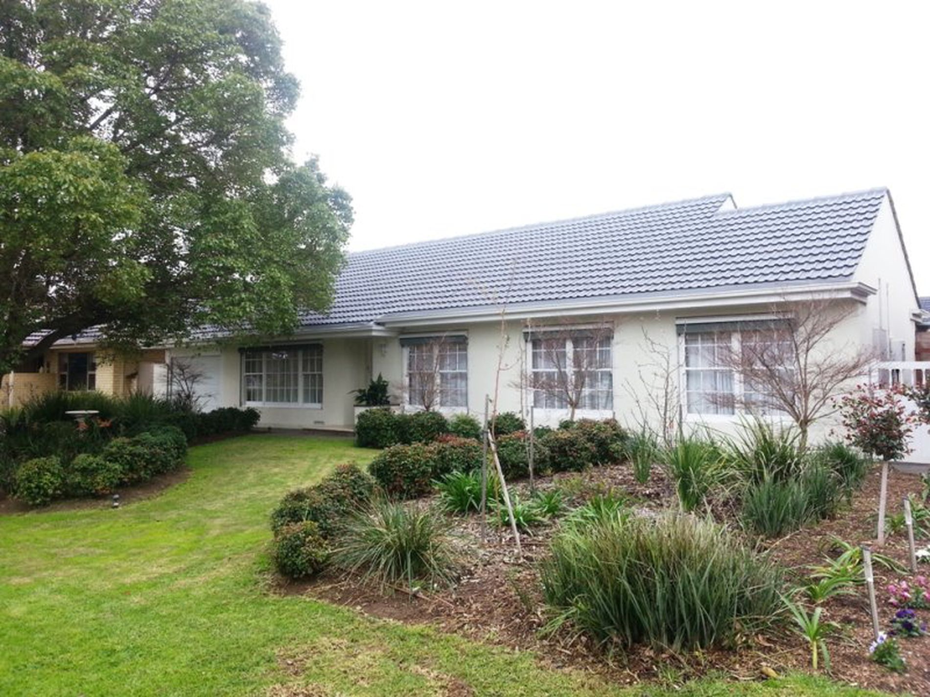 19 Montana Drive, Novar Gardens
