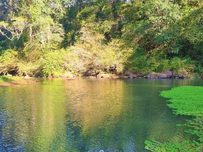1242 Tuntable Creek Road, Nimbin