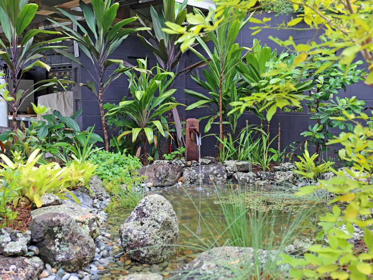 9 Downing Street, Malanda