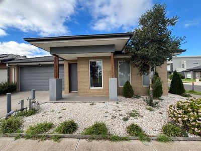 31 Ambersweet Drive, Tarneit