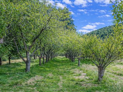 4030 Huon Highway, Castle Forbes Bay