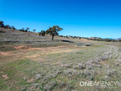 1688 Kamilaroi Highway, Quirindi