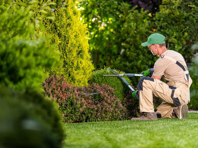 High-Margin Garden Maintenance Business | Long-Term Clients | $255K+ Net Profit