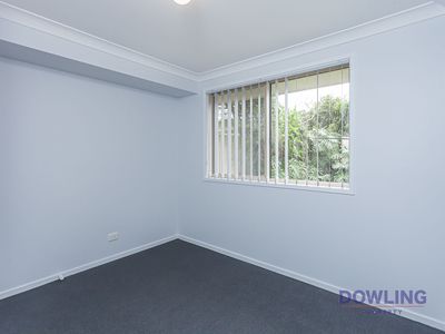 19 Hakea Parade, Medowie
