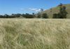 - Bowan Park Road, Orange