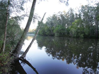 Lot 17, Glider Avenue, Darawank