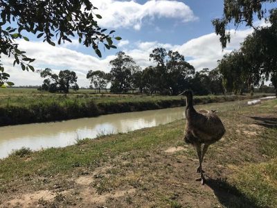 3935 Rangemore Road, Barham