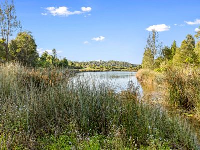 29 Honeyeater Pl, Bli Bli