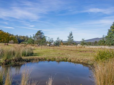 Lot 3, Andrewartha Road, Raminea