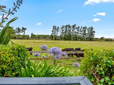 331 South Head Road, South Head, Helensville