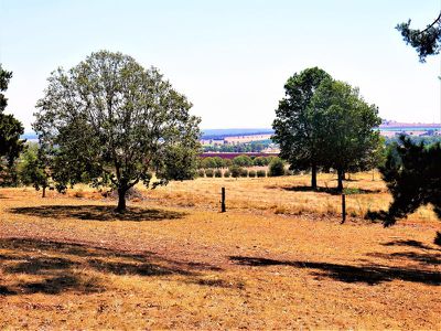 139 Taylors Road, Kingaroy