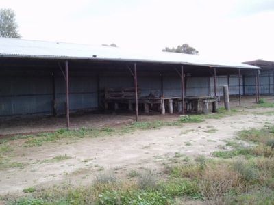 253 Buckland Road, Cohuna