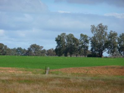 Wahgunyah-Rutherglen Road, Wahgunyah