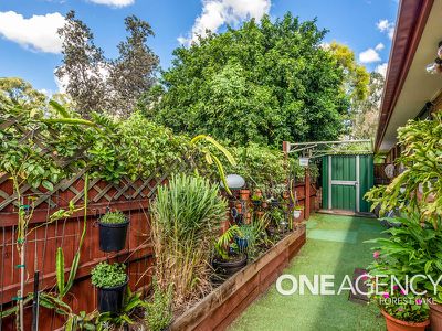 8 Teasel Crescent, Forest Lake