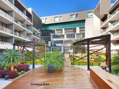 203 / 23 Archibald Avenue, Waterloo