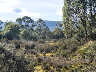 Lot 1, Lyell Highway, Derwent Bridge