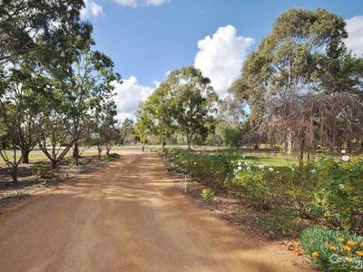 32 Colony Crescent, Dubbo