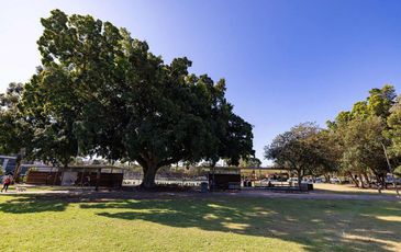 57 Rosebery Avenue, Rosebery