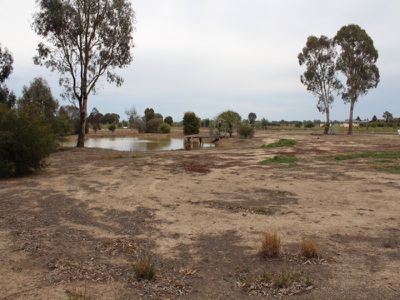 Koondrook