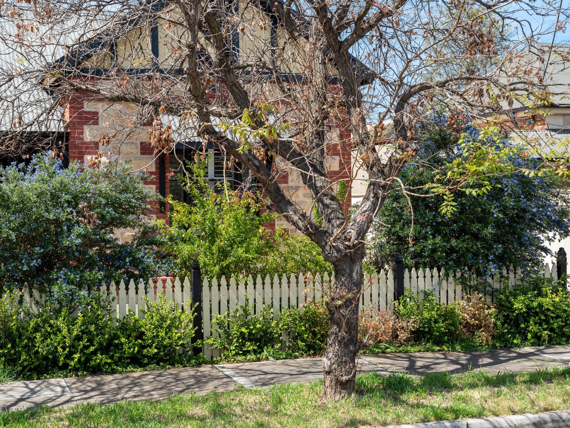 9 Wilton Terrace, Torrensville