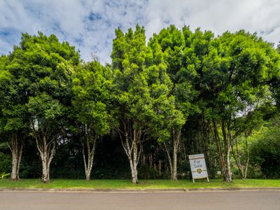 21 Carrington Drive, Flaxton