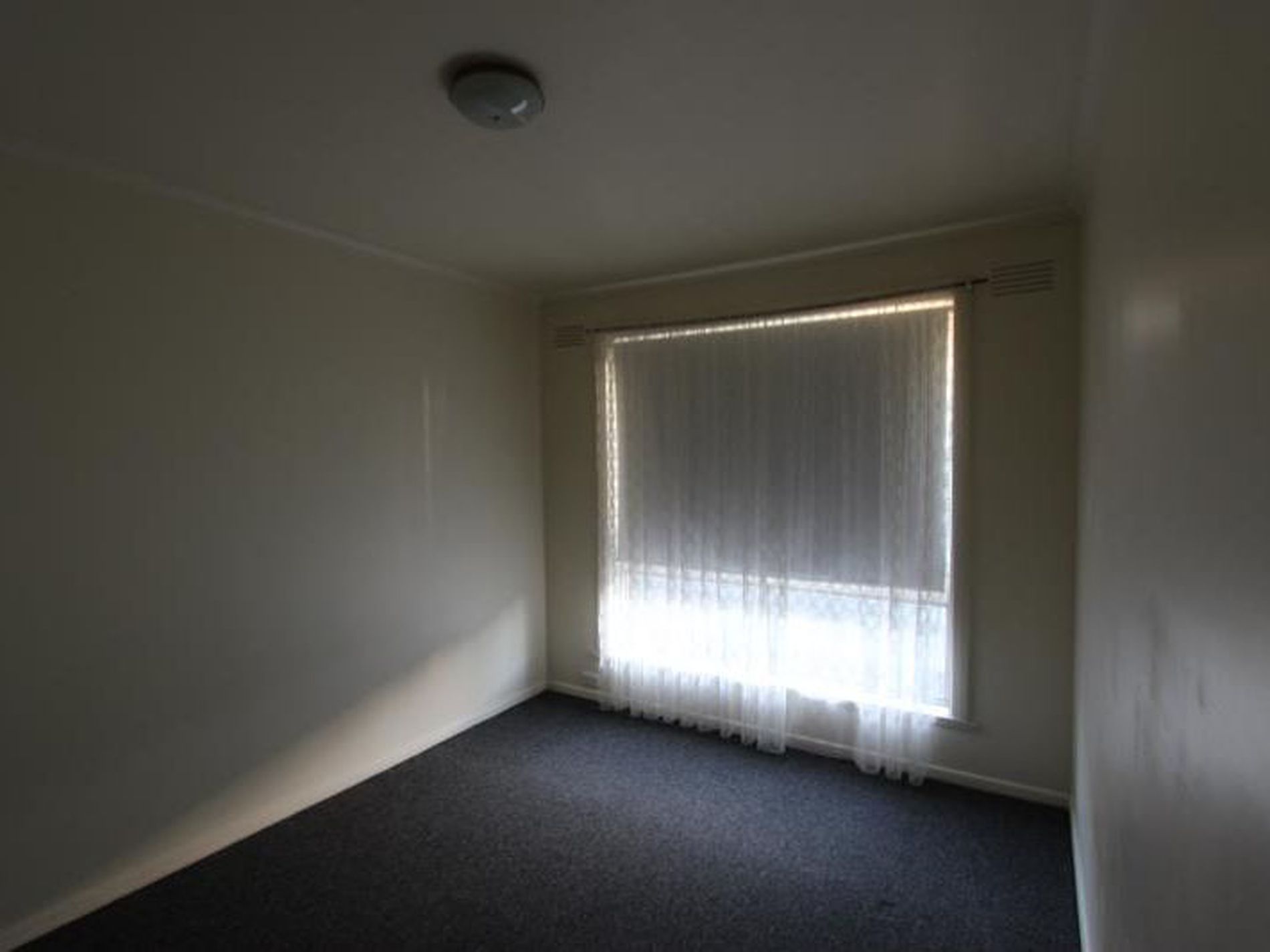 3 / 3 Ann Street, Geelong West