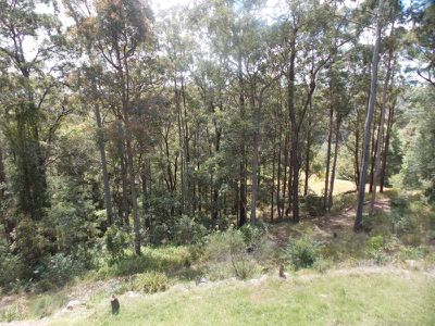 Ourimbah