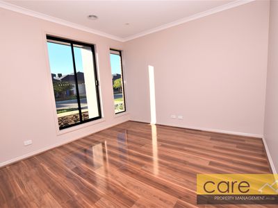15 STATURE AVENUE, Clyde North