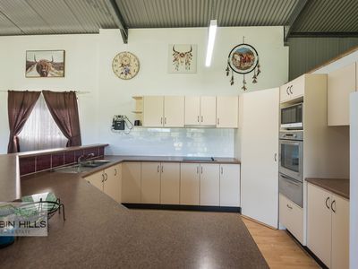 876  Green Pigeon Road, Green Pigeon