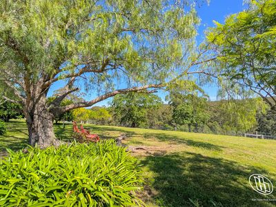 9050 Springhills Road, Tilba Tilba