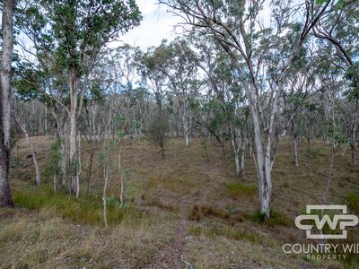 13 Bluff River Road, Tenterfield