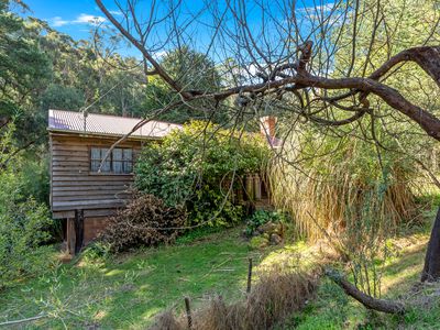 23 Long Gully Road, Flowerdale