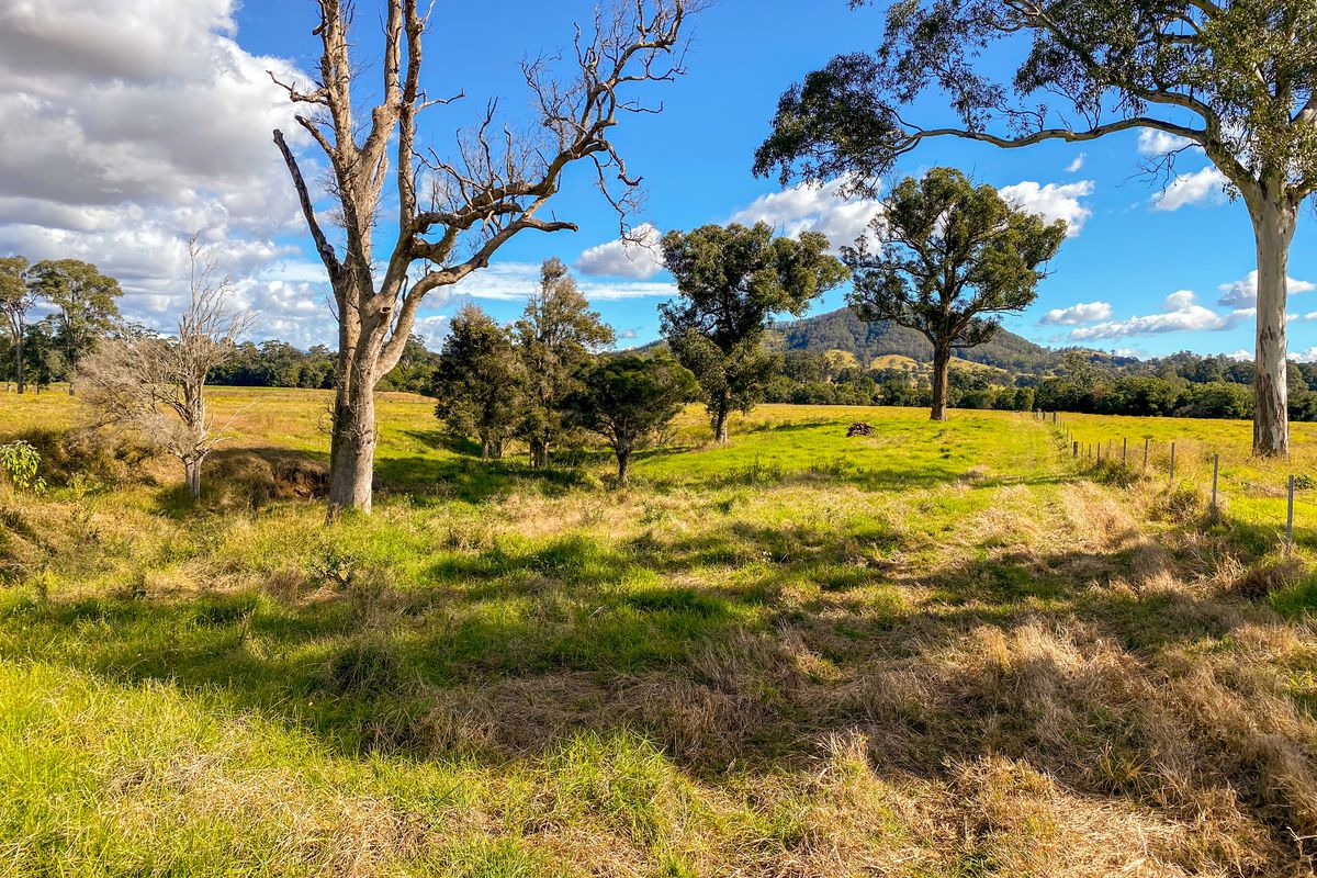 363 Youngs Road, Wingham