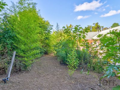 8 Teton Court, Tamborine Mountain