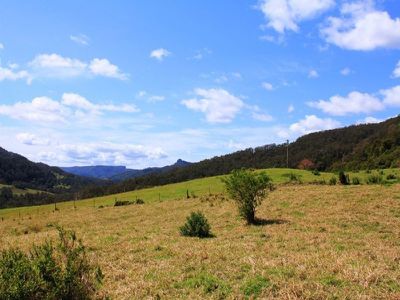 1183 Wattamolla Road, Kangaroo Valley