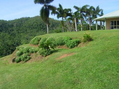 8 Buhmann Street, Cooktown