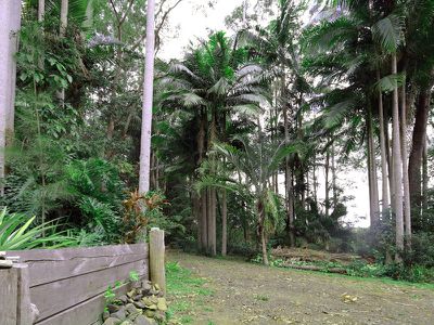 176 Gungas Road, Nimbin