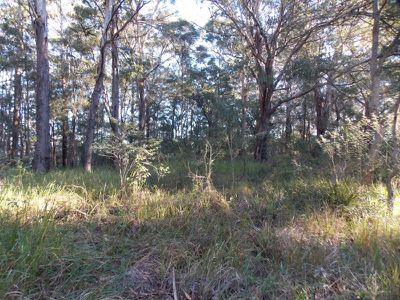 Ourimbah