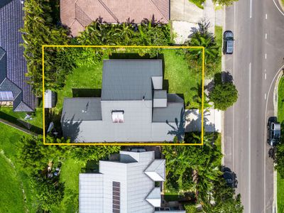 48 Tuckeroo Avenue, Mullumbimby