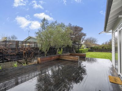 16 Archer Street, Saint Albans