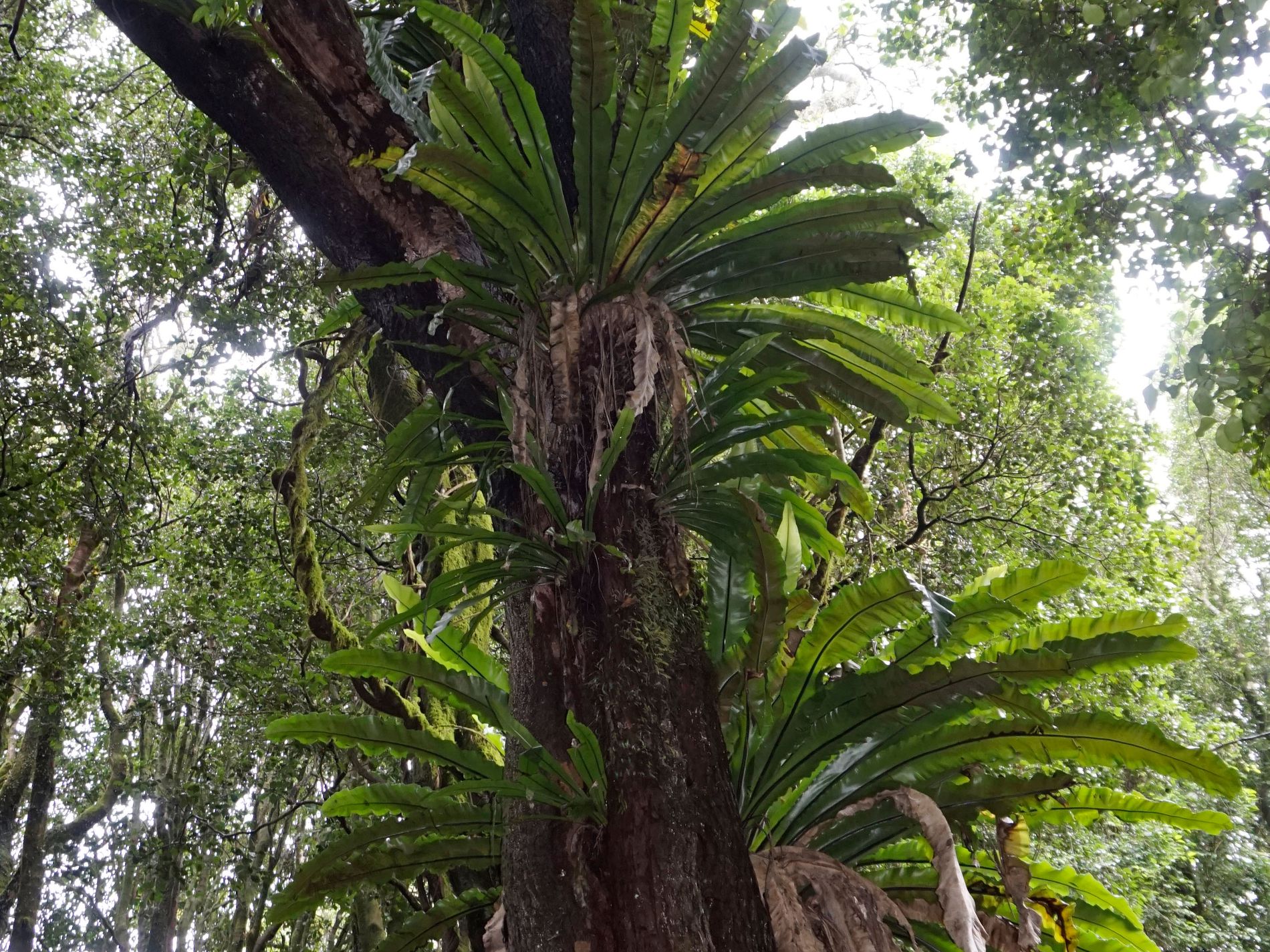 15 Old Kangaloon Road, Robertson