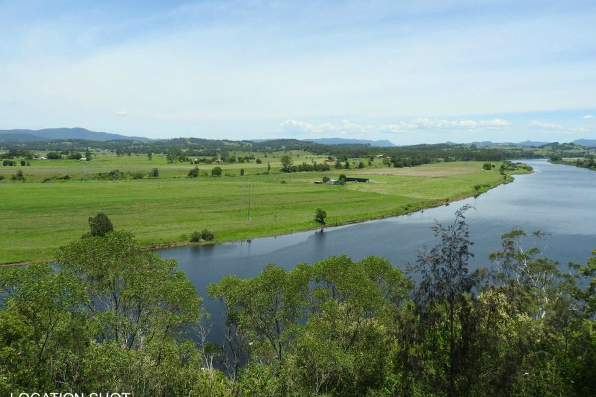 Tinonee