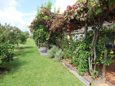 74 Bullocky Way, Forster