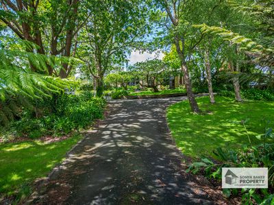 14 George Street, Wynyard